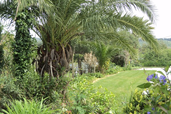 Foto van Gedeelde boerderij nabij Serra Monfuradoca - Vakantiehuis in Montemor O Novo - GardenSummer