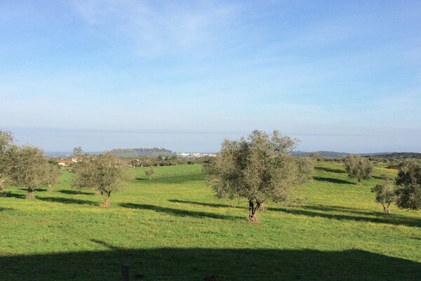 Foto van Gedeelde boerderij nabij Serra Monfuradoca - Vakantiehuis in Montemor O Novo - AreaSummer1KM