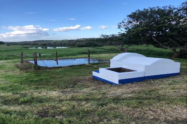 Foto van Gedeelde boerderij nabij Serra Monfuradoca - Vakantiehuis in Montemor O Novo - Ambiance