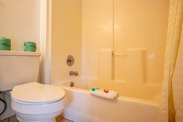 Foto van Appartement Met 2 Slaapkamers Met Keuken - Vakantiehuis in Bryson city - BathRoom
