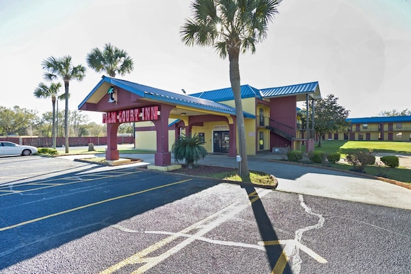 Foto van Suite met 1 slaapkamer | Pensacola, Florida - Vakantiehuis in Pensacola FL - ExteriorSummer